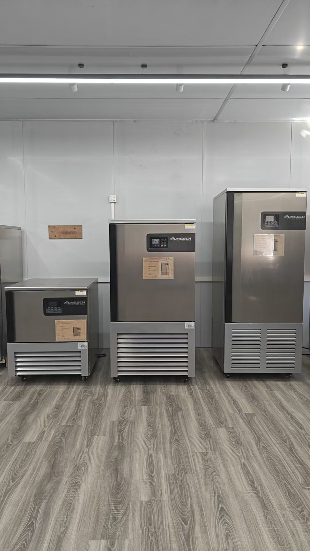 Cellule de surgélation BL-E10